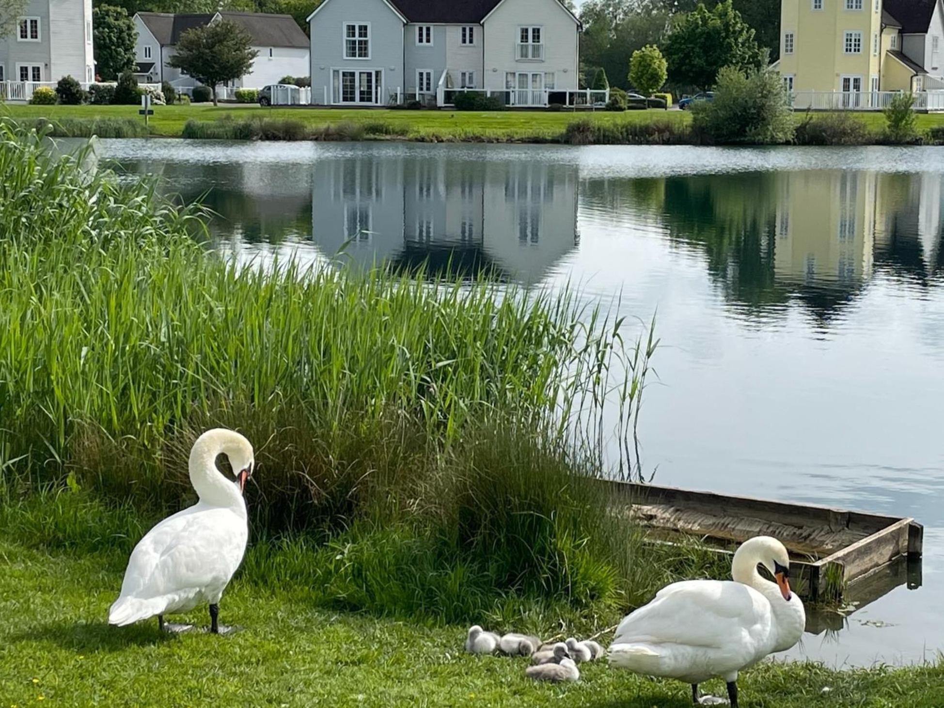 Nyhavn Lakeside Cottage 赛伦塞斯特 外观 照片